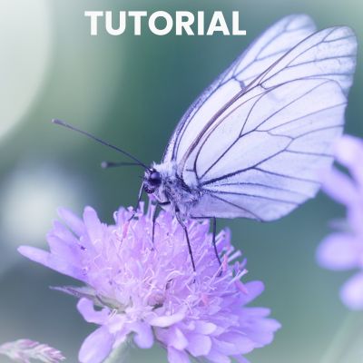 Tutorial Image